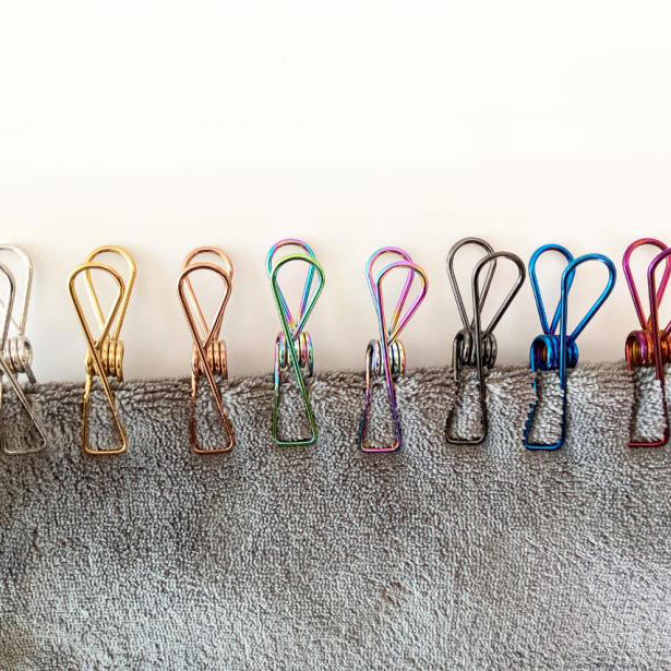 Farben Kleidung Hosen Unterwäsche Handtuch Socken Mehrzweck Kleine Metallklammer Party Hochzeit Edelstahl Klammern Clips - 1